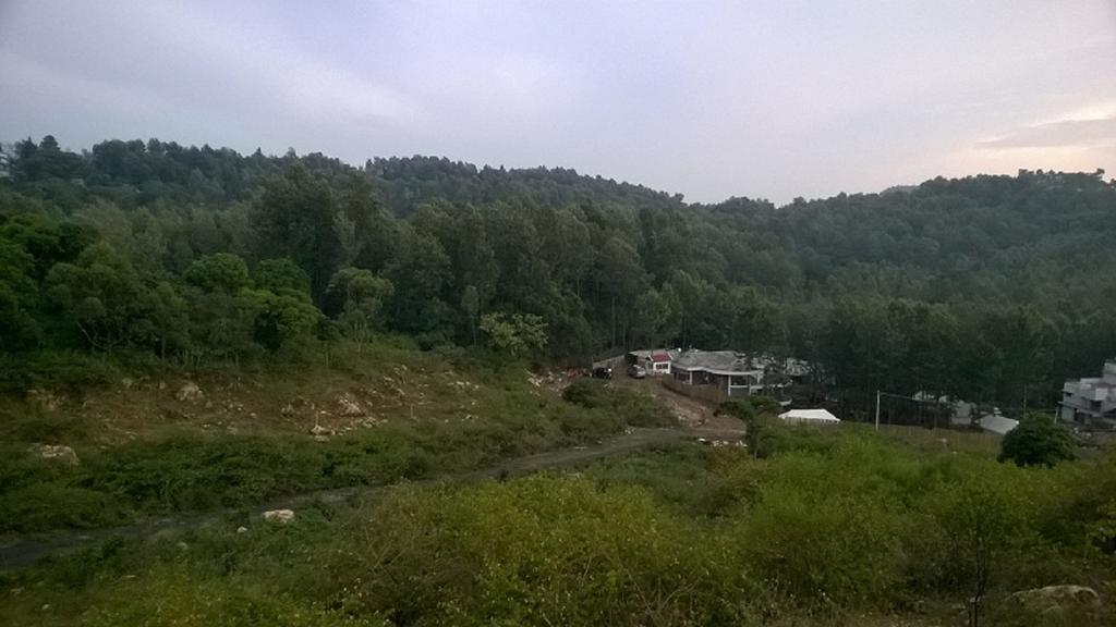 Bison Woods Yercaud Quarto foto