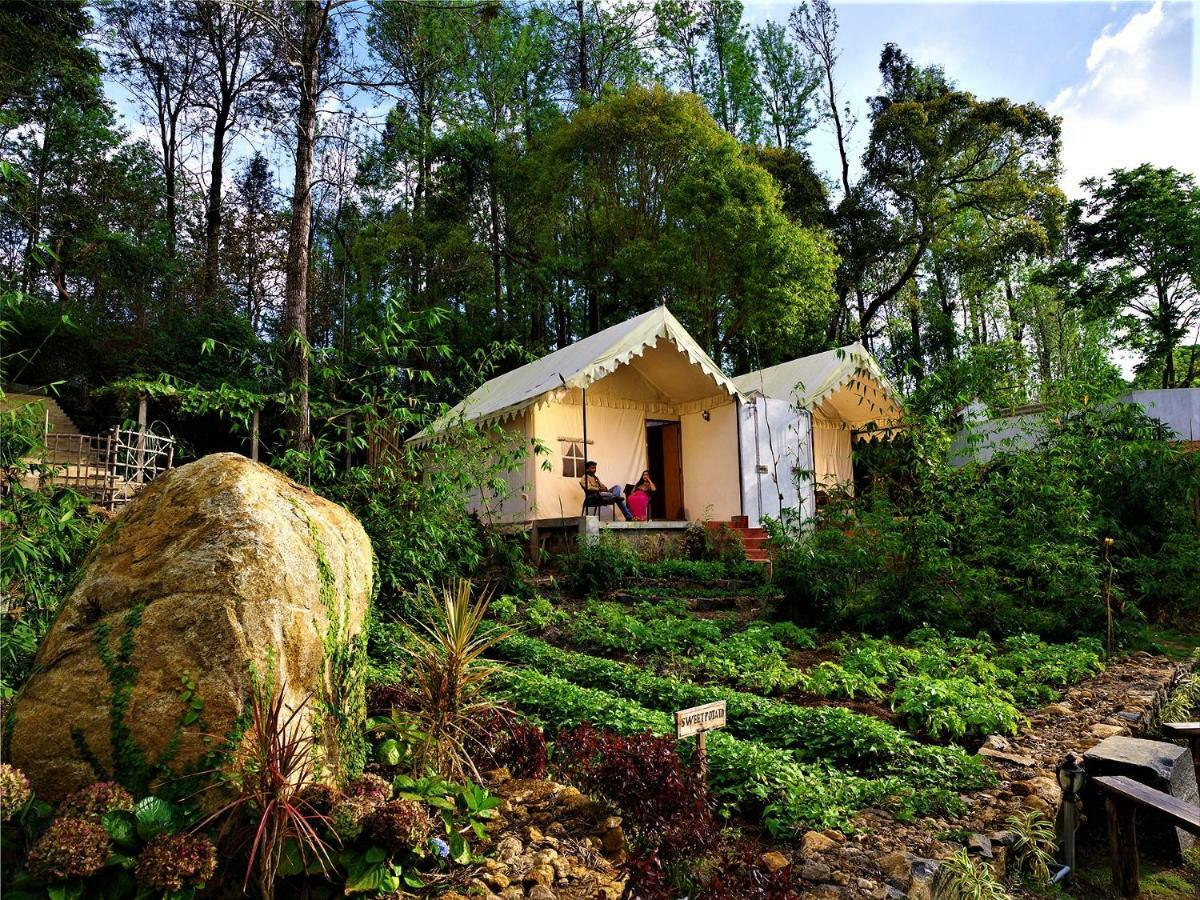 Bison Woods Yercaud Exterior foto