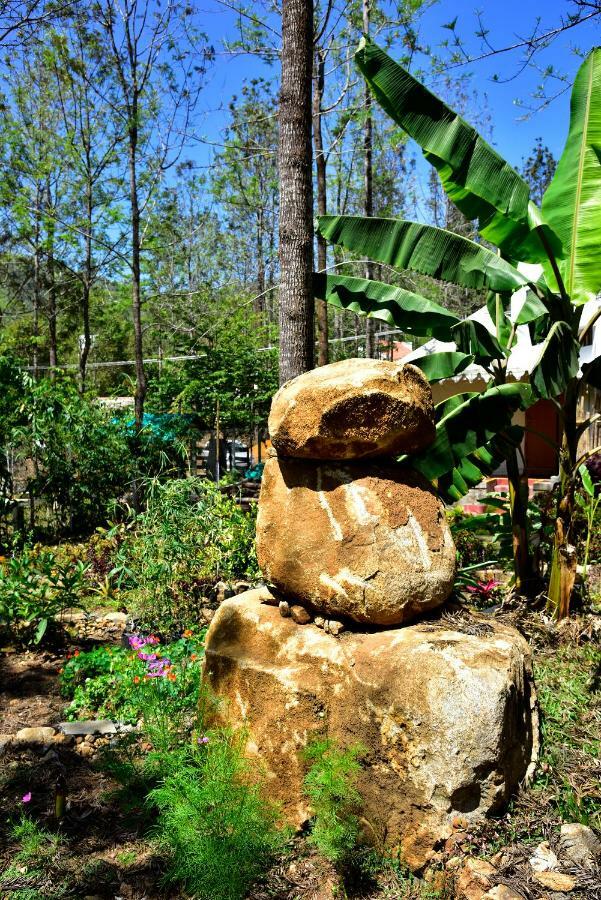 Bison Woods Yercaud Exterior foto